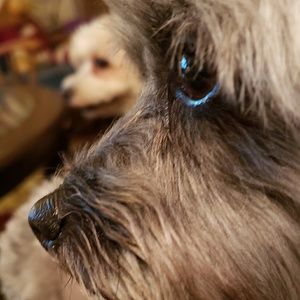 Meet your Posher, Yvonne